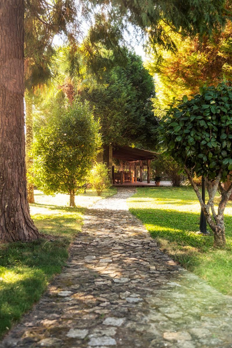 Casa Das Paredes Fafe Ngoại thất bức ảnh